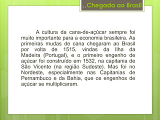 Chegada ao Brasil 
11 
A cultura da cana-de-açúcar sempre foi 
muito importante para a economia brasileira. As 
primeiras mudas de cana chegaram ao Brasil 
por volta de 1515, vindas da Ilha da 
Madeira (Portugal), e o primeiro engenho de 
açúcar foi construído em 1532, na capitania de 
São Vicente (na região Sudeste). Mas foi no 
Nordeste, especialmente nas Capitanias de 
Pernambuco e da Bahia, que os engenhos de 
açúcar se multiplicaram. 
 