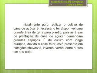Exigências edafoclimáticas 
(solo e clima) 
38 
Inicialmente para realizar o cultivo de 
cana de açúcar é necessário ter disponível uma 
grande área de terra para plantio, pois as áreas 
de plantação de cana de açúcar demandam 
grandes espaços. É de cultivo com longa 
duração, devido a esse fator, está presente em 
estações chuvosas, inverno, verão, entre outras 
em seu ciclo. 
 