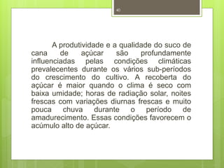 40 
A produtividade e a qualidade do suco de 
cana de açúcar são profundamente 
influenciadas pelas condições climáticas 
prevalecentes durante os vários sub-períodos 
do crescimento do cultivo. A recoberta do 
açúcar é maior quando o clima é seco com 
baixa umidade; horas de radiação solar, noites 
frescas com variações diurnas frescas e muito 
pouca chuva durante o período de 
amadurecimento. Essas condições favorecem o 
acúmulo alto de açúcar. 
 
