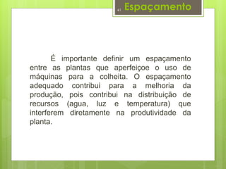 Espaçamento 
41 
É importante definir um espaçamento 
entre as plantas que aperfeiçoe o uso de 
máquinas para a colheita. O espaçamento 
adequado contribui para a melhoria da 
produção, pois contribui na distribuição de 
recursos (agua, luz e temperatura) que 
interferem diretamente na produtividade da 
planta. 
 