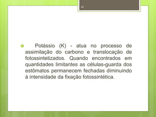 45 
 Potássio (K) - atua no processo de 
assimilação do carbono e translocação de 
fotossintetizados. Quando encontrados em 
quantidades limitantes as células-guarda dos 
estômatos permanecem fechadas diminuindo 
à intensidade da fixação fotossintética. 
 