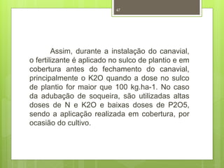 47 
Assim, durante a instalação do canavial, 
o fertilizante é aplicado no sulco de plantio e em 
cobertura antes do fechamento do canavial, 
principalmente o K2O quando a dose no sulco 
de plantio for maior que 100 kg.ha-1. No caso 
da adubação de soqueira, são utilizadas altas 
doses de N e K2O e baixas doses de P2O5, 
sendo a aplicação realizada em cobertura, por 
ocasião do cultivo. 
 