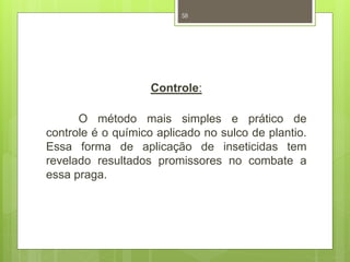 58 
Controle: 
O método mais simples e prático de 
controle é o químico aplicado no sulco de plantio. 
Essa forma de aplicação de inseticidas tem 
revelado resultados promissores no combate a 
essa praga. 
 