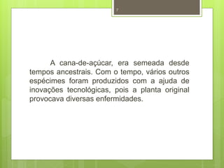 7 
A cana-de-açúcar, era semeada desde 
tempos ancestrais. Com o tempo, vários outros 
espécimes foram produzidos com a ajuda de 
inovações tecnológicas, pois a planta original 
provocava diversas enfermidades. 
 