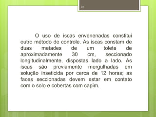 72 
O uso de iscas envenenadas constitui 
outro método de controle. As iscas constam de 
duas metades de um tolete de 
aproximadamente 30 cm, seccionado 
longitudinalmente, dispostas lado a lado. As 
iscas são previamente mergulhadas em 
solução inseticida por cerca de 12 horas; as 
faces seccionadas devem estar em contato 
com o solo e cobertas com capim. 
 