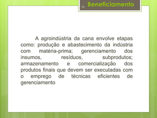 Beneficiamento 
79 
A agroindústria da cana envolve etapas 
como: produção e abastecimento da indústria 
com matéria-prima; gerenciamento dos 
insumos, resíduos, subprodutos; 
armazenamento e comercialização dos 
produtos finais que devem ser executadas com 
o emprego de técnicas eficientes de 
gerenciamento 
 