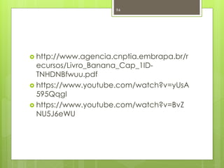94 
 http://www.agencia.cnptia.embrapa.br/r 
ecursos/Livro_Banana_Cap_1ID-TNHDNBfwuu. 
pdf 
 https://www.youtube.com/watch?v=yUsA 
595QqgI 
 https://www.youtube.com/watch?v=BvZ 
NU5J6eWU 

