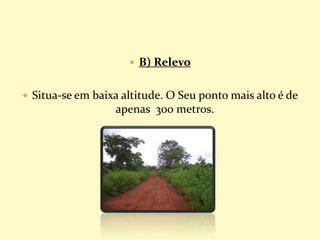  B) Relevo
 Situa-se em baixa altitude. O Seu ponto mais alto é de
apenas 300 metros.
 