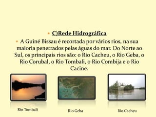  C)Rede Hidrográfica
 A Guiné Bissau é recortada por vários rios, na sua
maioria penetrados pelas águas do mar. Do Norte ao
Sul, os principais rios são: o Rio Cacheu, o Rio Geba, o
Rio Corubal, o Rio Tombali, o Rio Combija e o Rio
Cacine.
Rio Tombali Rio Geba Rio Cacheu
 