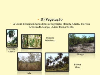  D) Vegetação
 A Guiné-Bissau tem vários tipos de vegetação. Floresta Aberta, Floresta
Arborizada, Mangal , Lala e Palmar Misto.
Floresta
Aberta
Floresta
Arborizada
Mangal
Lala
Palmar
Misto
 