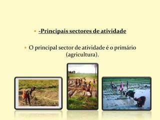  -Principais sectores de atividade
 O principal sector de atividade é o primário
(agricultura).
 