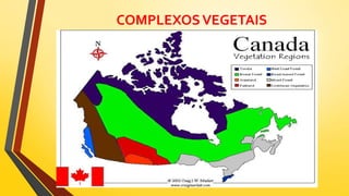 COMPLEXOSVEGETAIS
 