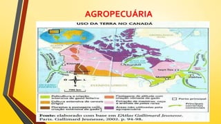 AGROPECUÁRIA
 