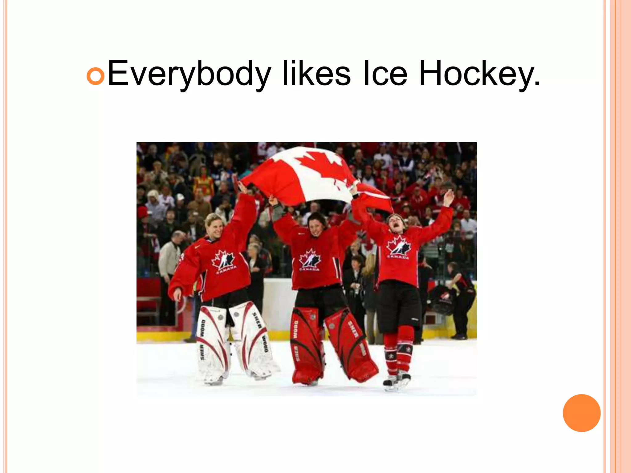 Canadian Stereotypes Hockey
