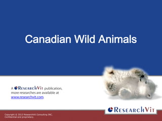 Canadian Wild Animals

Copyright © 2013 ResearchVit Consulting INC.
Confidential and proprietary.

 