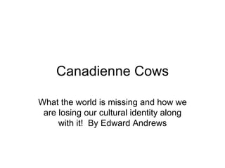 Canadienne Cows What the world is missing and how we are losing our cultural identity along with it!  By Edward Andrews 