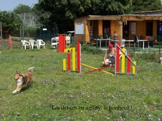 Les débuts en agility, le bonheur ! 
 