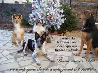 L’année du 
bonheur avec 
Speed, qui sera 
ta garde malade 
 
