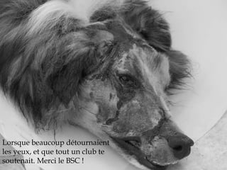 Lorsque beaucoup détournaient 
les yeux, et que tout un club te 
soutenait. Merci le BSC ! 
 