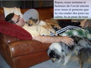 Repos, nous sommes si 
heureux de t’avoir encore 
avec nous et pensons que 
tu vas couler des jours au 
calme, tu as peur de tout 
 