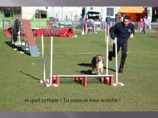 et quel rythme ! Tu nous as tous scotché ! 
 