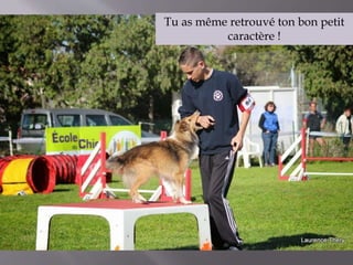 Tu as même retrouvé ton bon petit 
caractère ! 
 