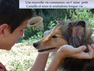 Une nouvelle vie commence, on t’ aime petit 
Canaille et nous te souhaitons longue vie … 
 