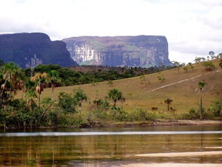 Canaima