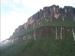 Canaima