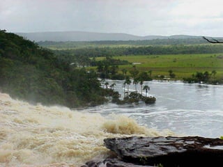 Canaima