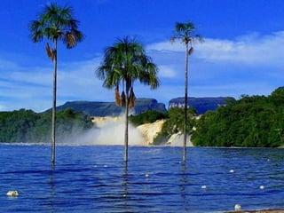 Canaima