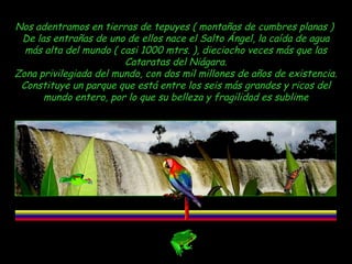Nos adentramos en tierras de tepuyes ( montañas de cumbres planas )
De las entrañas de uno de ellos nace el Salto Ángel, la caída de agua
más alta del mundo ( casi 1000 mtrs. ), dieciocho veces más que las
Cataratas del Niágara.
Zona privilegiada del mundo, con dos mil millones de años de existencia.
Constituye un parque que está entre los seis más grandes y ricos del
mundo entero, por lo que su belleza y fragilidad es sublime

 