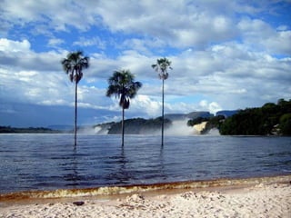 Canaima