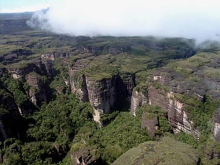 Canaima