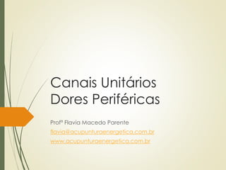 Canais Unitários
Dores Periféricas
Profª Flavia Macedo Parente
flavia@acupunturaenergetica.com.br
www.acupunturaenergetica.com.br
 