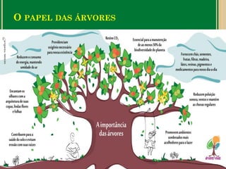 O PAPEL DAS ÁRVORES
 