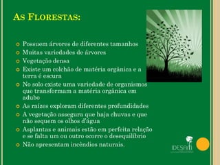 AS FLORESTAS:
 Possuem árvores de diferentes tamanhos
 Muitas variedades de árvores
 Vegetação densa
 Existe um colchão de matéria orgânica e a
terra é escura
 No solo existe uma variedade de organismos
que transformam a matéria orgânica em
adubo
 As raízes exploram diferentes profundidades
 A vegetação assegura que haja chuvas e que
não sequem os olhos d’água
 Asplantas e animais estão em perfeita relação
e se falta um ou outro ocorre o desequilíbrio
 Não apresentam incêndios naturais.
 