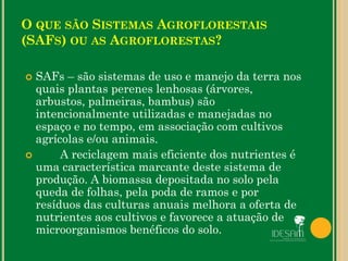 O QUE SÃO SISTEMAS AGROFLORESTAIS
(SAFS) OU AS AGROFLORESTAS?
 SAFs – são sistemas de uso e manejo da terra nos
quais plantas perenes lenhosas (árvores,
arbustos, palmeiras, bambus) são
intencionalmente utilizadas e manejadas no
espaço e no tempo, em associação com cultivos
agrícolas e/ou animais.
 A reciclagem mais eficiente dos nutrientes é
uma característica marcante deste sistema de
produção. A biomassa depositada no solo pela
queda de folhas, pela poda de ramos e por
resíduos das culturas anuais melhora a oferta de
nutrientes aos cultivos e favorece a atuação de
microorganismos benéficos do solo.
 