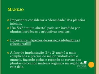  Importante considerar a “densidade” dos plantios
iniciais.
 Um SAF “muito aberto” pode ser invadido por
plantas herbáceas e arbustivas nocivas.
 Importante: Espécies de serviço (adubadoras /
cobertura)!!!!!
 A fase de implantação (1o e 2o ano) é a mais
complicada e precisa de maior cuidado com o
manejo, fazendo podas e roçando as coroas das
plantas colocando matéria orgânica na região da
raiz dela.
MANEJO
 