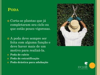  Corta-se plantas que já
completaram seu ciclo ou
que estão pouco vigorosas.
 A poda deve sempre ser
feita com alguma função e
deve haver mais de um
motivo para realizá-la.
 Poda de raleio
 Poda de estratificação
 Poda drástica para adubação
PODA
 