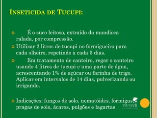 INSETICIDA DE TUCUPI:
 É o suco leitoso, extraído da mandioca
ralada, por compressão.
 Utilizar 2 litros de tucupi no formigueiro para
cada olheiro, repetindo a cada 5 dias.
 Em tratamento de canteiro, regar o canteiro
usando 4 litros de tucupi e uma parte de água,
acrescentando 1% de açúcar ou farinha de trigo.
Aplicar em intervalos de 14 dias, pulverizando ou
irrigando.
 Indicações: fungos de solo, nematóides, formigas,
pragas de solo, ácaros, pulgões e lagartas
 