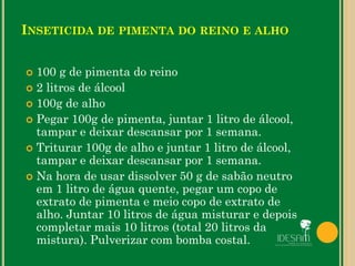 INSETICIDA DE PIMENTA DO REINO E ALHO
 100 g de pimenta do reino
 2 litros de álcool
 100g de alho
 Pegar 100g de pimenta, juntar 1 litro de álcool,
tampar e deixar descansar por 1 semana.
 Triturar 100g de alho e juntar 1 litro de álcool,
tampar e deixar descansar por 1 semana.
 Na hora de usar dissolver 50 g de sabão neutro
em 1 litro de água quente, pegar um copo de
extrato de pimenta e meio copo de extrato de
alho. Juntar 10 litros de água misturar e depois
completar mais 10 litros (total 20 litros da
mistura). Pulverizar com bomba costal.
 