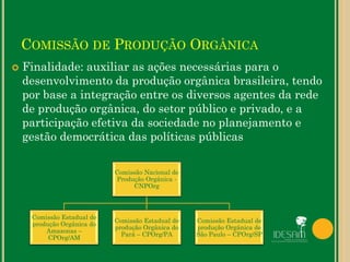 COMISSÃO DE PRODUÇÃO ORGÂNICA
 Finalidade: auxiliar as ações necessárias para o
desenvolvimento da produção orgânica brasileira, tendo
por base a integração entre os diversos agentes da rede
de produção orgânica, do setor público e privado, e a
participação efetiva da sociedade no planejamento e
gestão democrática das políticas públicas
Comissão Nacional de
Produção Orgânica -
CNPOrg
Comissão Estadual de
produção Orgânica do
Amazonas –
CPOrg/AM
Comissão Estadual de
produção Orgânica do
Pará – CPOrg/PA
Comissão Estadual de
produção Orgânica de
São Paulo – CPOrg/SP
 