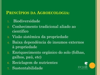 PRINCÍPIOS DA AGROECOLOGIA:
1. Biodiversidade
2. Conhecimento tradicional aliado ao
científico
3. Visão sistêmica da propriedade
4. Baixa dependência de insumos externos
à propriedade
5. Enriquecimento orgânico do solo (folhas,
galhos, paú, etc)
6. Reciclagem de nutrientes
7. Sustentabilidade
 