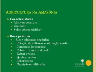 AGRICULTURA NA AMAZÔNIA
 Características
 Alta temperatura
 Umidade
 Solos pobres (ácidos)
 Boas práticas:
 Usar adubação orgânica
 Rotação de culturas e adubação verde
 Consorcio de espécies
 Cobertura morta do solo
 Evitar erosão
 Quebra ventos
 Arborização
 Nutrição equilibrada
 