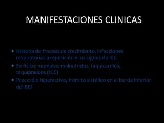  Historia de fracaso de crecimiento, infecciones
respiratorias a repetición y los signos de ICC
 Ex físico: neonatos malnutridos, taquicardico,
taquipneicos (ICC)
 Precordio hiperactivo, frémito sistólico en el borde inferior
del BEI
MANIFESTACIONES CLINICAS
 
