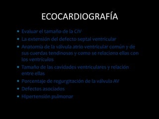  Evaluar el tamaño de la CIV
 La extensión del defecto septal ventricular
 Anatomía de la válvula atrio ventricular común y de
sus cuerdas tendinosas y como se relaciona ellas con
los ventrículos
 Tamaño de las cavidades ventriculares y relación
entre ellas
 Porcentaje de regurgitación de la válvula AV
 Defectos asociados
 Hipertensión pulmonar
ECOCARDIOGRAFÍA
 