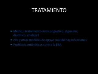  Medico: tratamiento anti congestivo, digoxina,
diurético, enalapril
 Atb y otras medidas de apoyo cuando hay infecciones
 Profilaxis antibióticas contra la EBA
TRATAMIENTO
 