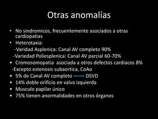 Otras anomalías
• No sindromicos, frecuentemente asociados a otras
cardiopatias
• Heterotaxia:
-Varidad Asplenica: Canal AV completo 90%
-Variedad Poliesplenica: Canal AV parcial 60-70%
• Cromosomopatia asociada a otros defectos cardiacos 8%
-Excepto estenosis subaortica, CoAo
• 5% de Canal AV completo DSVD
• 14% doble orificio en valva izquierda
• Musculo papilar único
• 75% tienen anormalidades en otros órganos
 