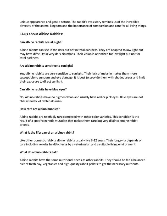 Can Albino Rabbits See: Basics of Rabbit Vision | PDF